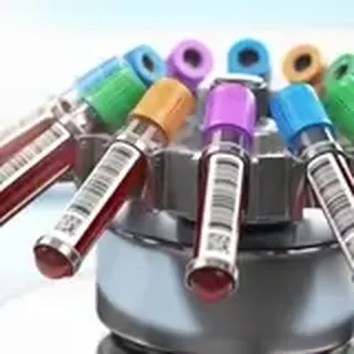 Endorobotics Labor