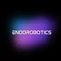 Endorobotics