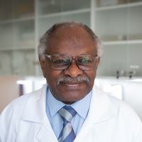 Prof. Dr. Gamal Eldin Mohamed